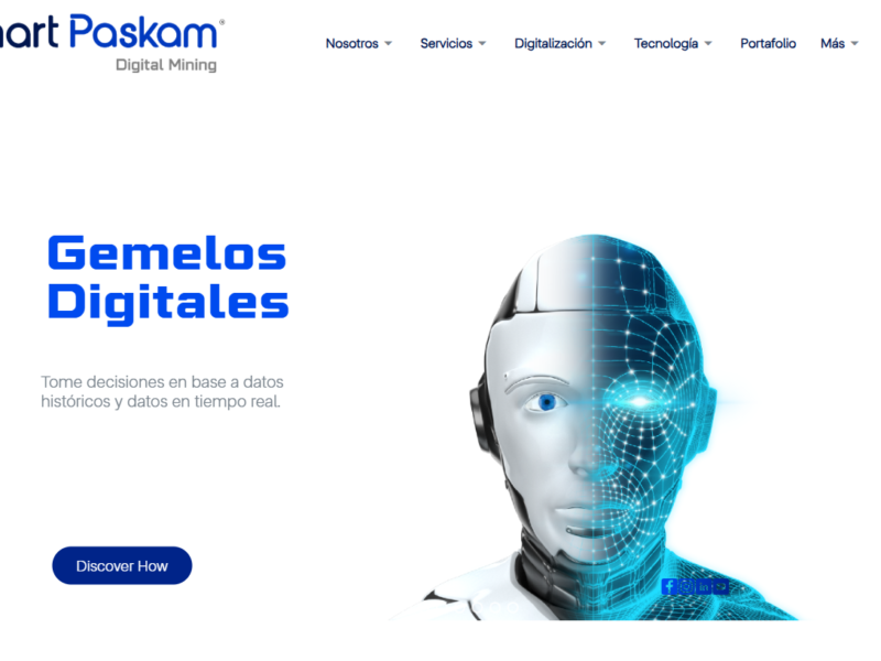SMART PASKAM SAC